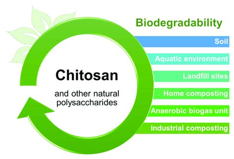 autoclave chitosan|natural polymer chitosan.